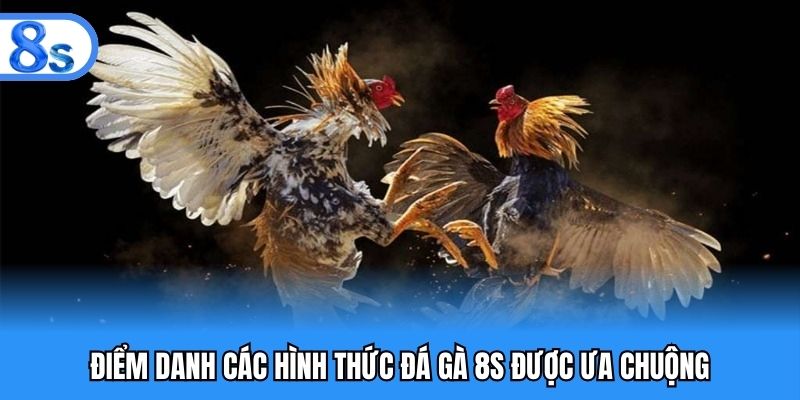 Điểm danh các hình thức đá gà 8S được ưa chuộng