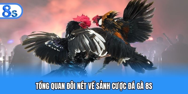 Tổng quan đôi nét về sảnh cược đá gà 8S
