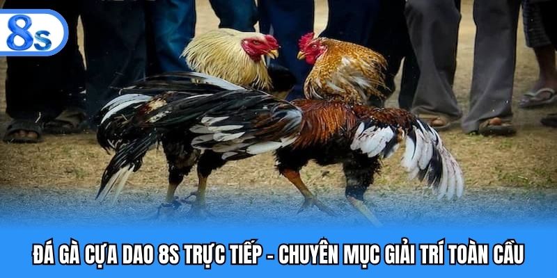 đá gà cựa dao