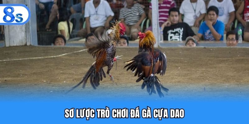 Sơ lược trò chơi đá gà cựa dao